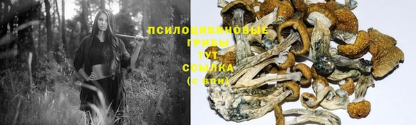 герыч Абаза