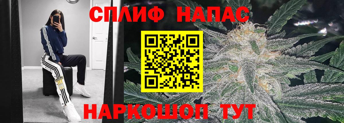 Конопля конопля Невинномысск